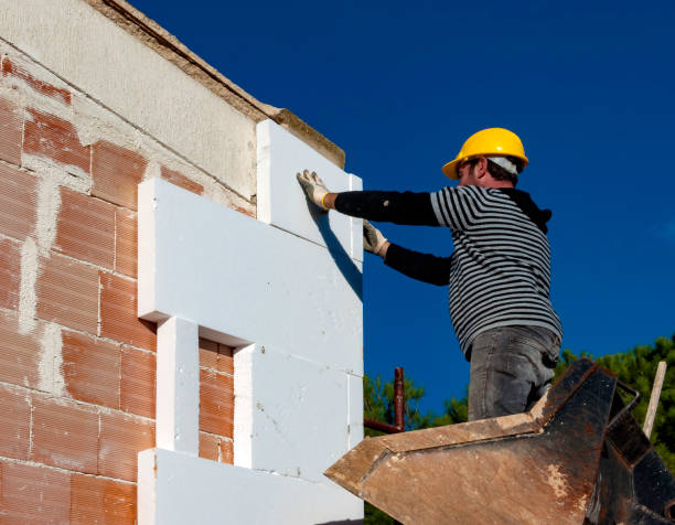 Best Residential Insulation Services  in Imperial, NE