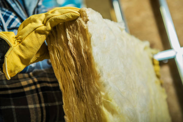 Best Garage Insulation Installation  in Imperial, NE
