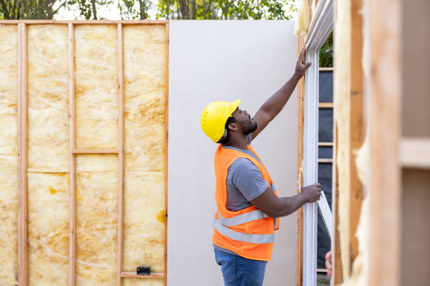 Best Insulation Removal Services  in Imperial, NE