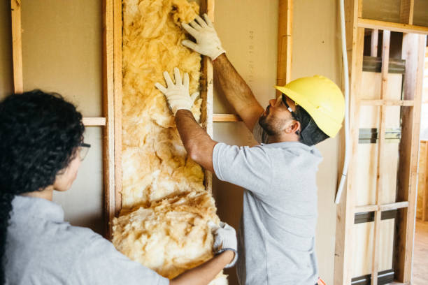 Best Insulation Inspection Services  in Imperial, NE
