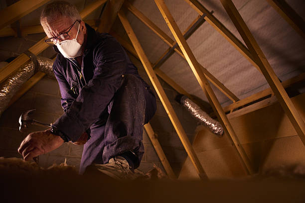 Best Commercial Insulation Contractor  in Imperial, NE