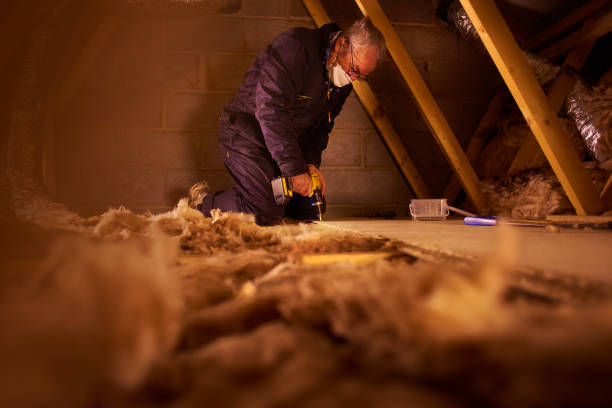 Best Wall Insulation Contractor  in Imperial, NE